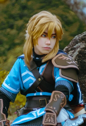 Link | Legend of Zelda